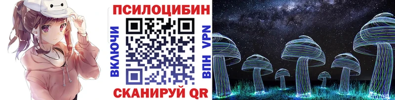 Псилоцибиновые грибы MAGIC MUSHROOMS  Купить закладки  Болгар 